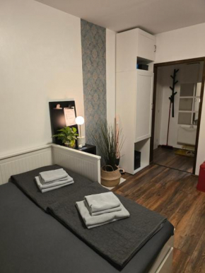 Studio apartman Tamai